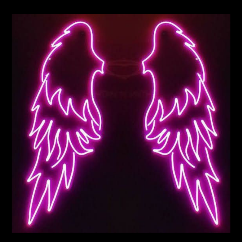 Wings Neon Sign Manufacturer in India